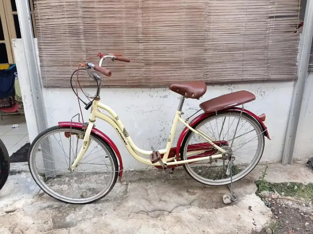 Jual 2 sepeda bekas
