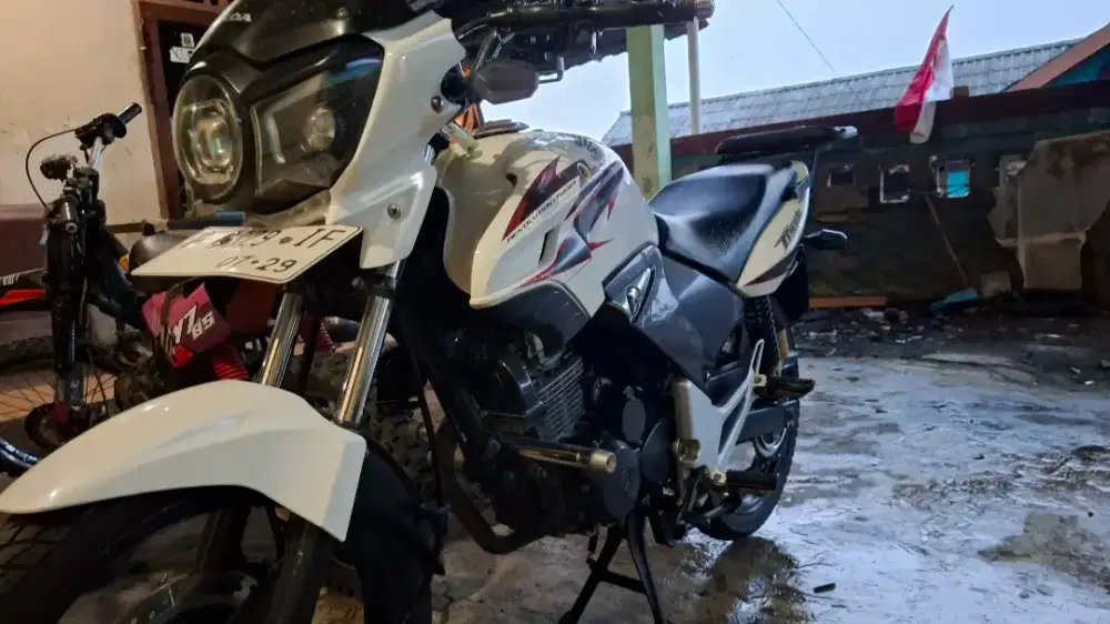 TIGER 2009 PC ASLI