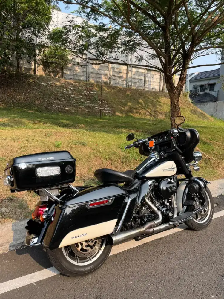 Harley Davidson Electra Police Panda Rushmore