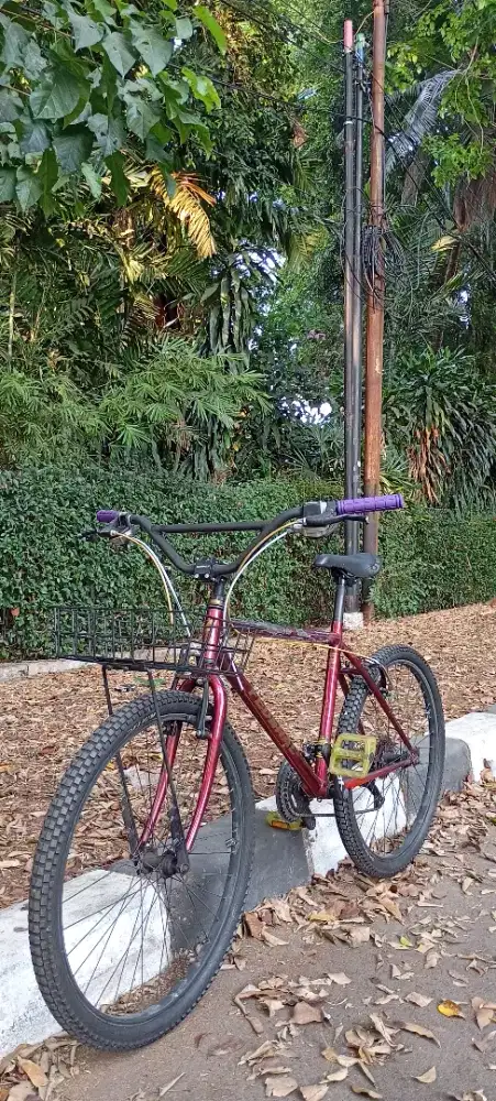 Sepeda federal kalcer