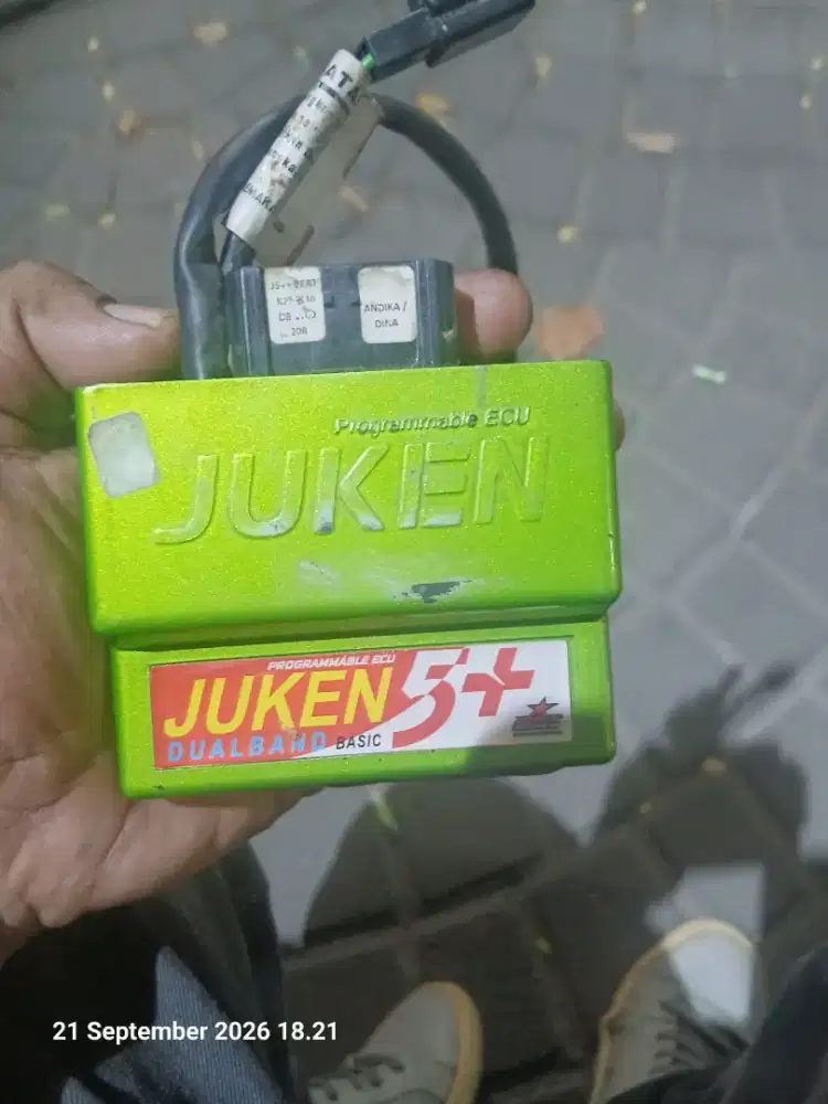 programmable ECU