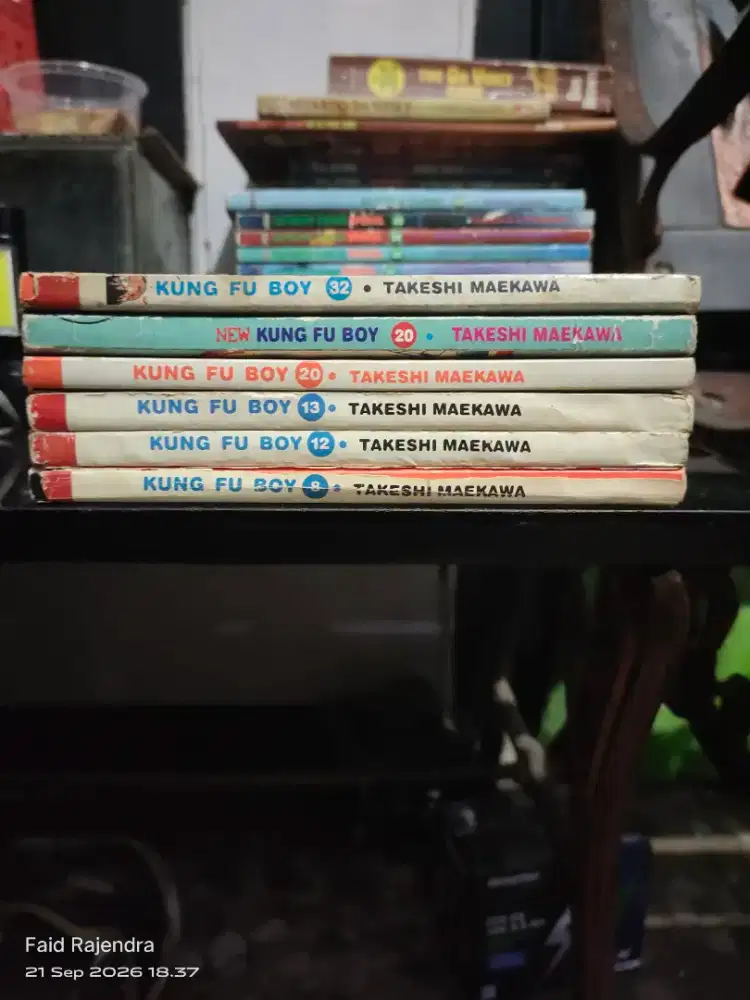 Kungfu Boy series