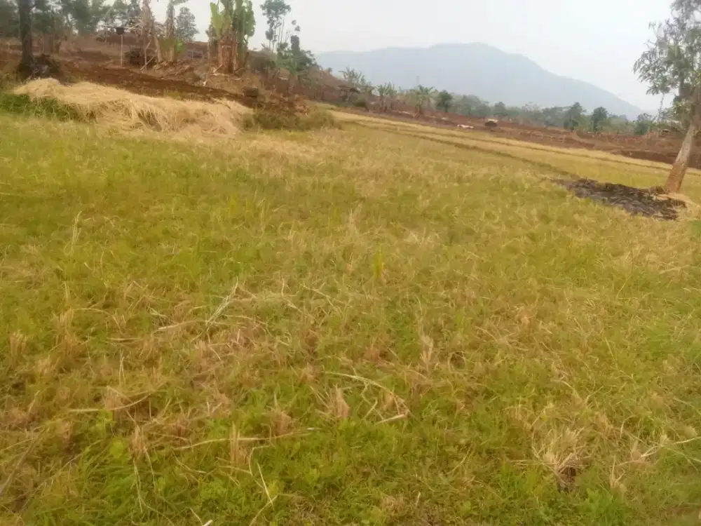 Tanah sawah dan kebun dekat ke jalan cocok di buat Villa atau pabrik