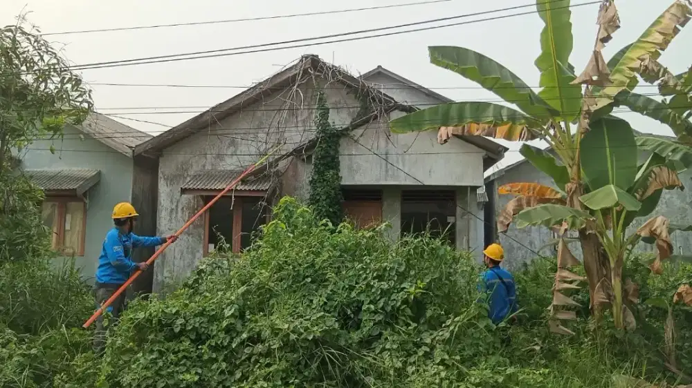 Jasa potong rumput & pohon