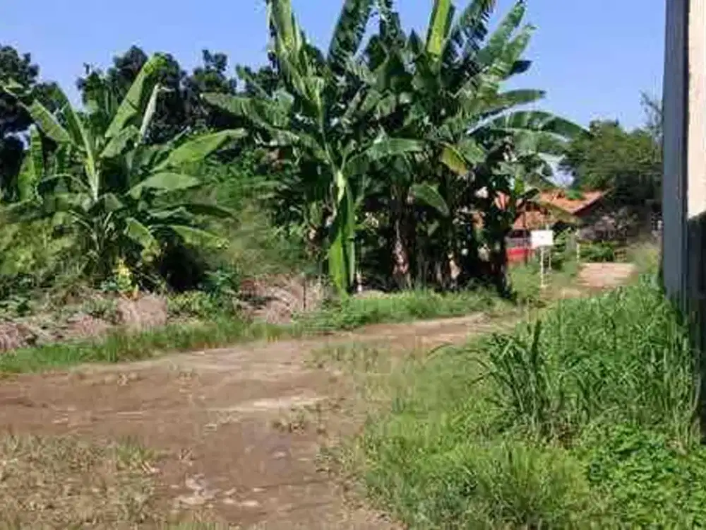 Dijual Kavling Cibubur samping sekolah Paradisa