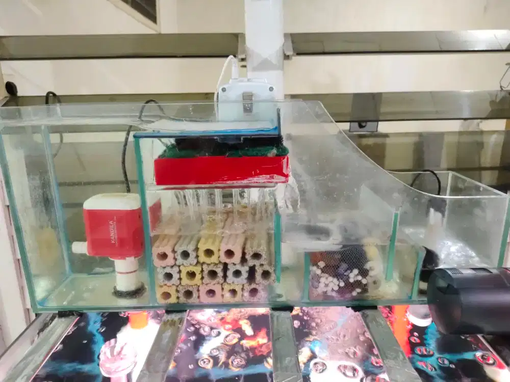Jual cepat aquarium bekas