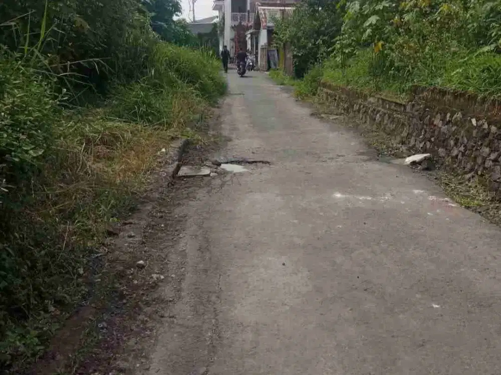DIJUAL TANAH CENTRAL BATU BOLONG, CANGGU - BALI
PRIME  Location! Kesempatan langka memiliki tanah freehold premium di lokasi prime Batu Bolong, salah satu area paling dicari di Bali.