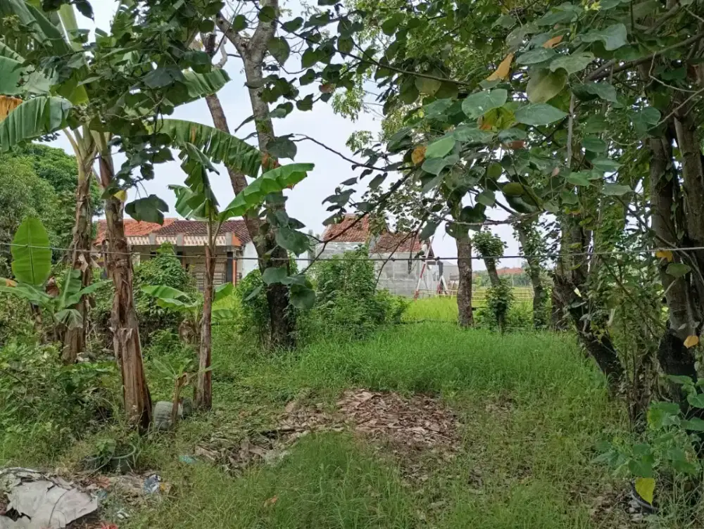 Jual tanah Luas 170 m² Rp 1.500.000,- / M² nego