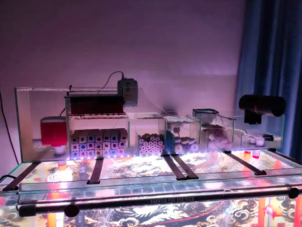 Jual cepat Aquarium bekas
