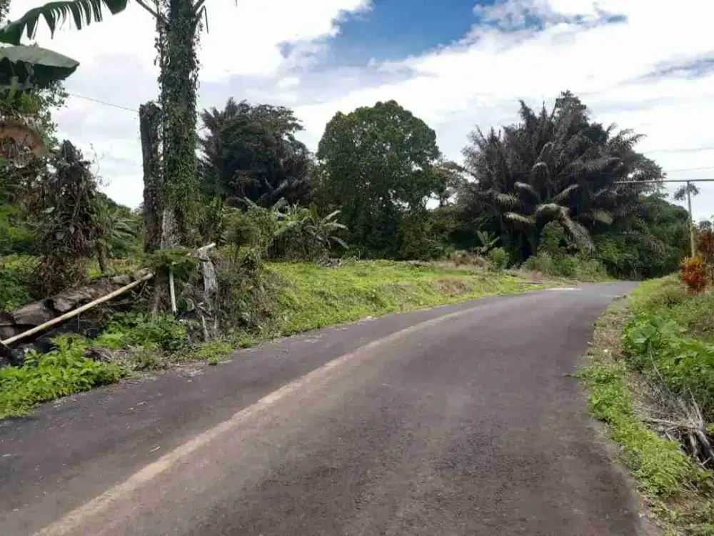 DIJUAL CEPAT TANAH CANTIK DAERAH TOMOHON, HARGA MURAH