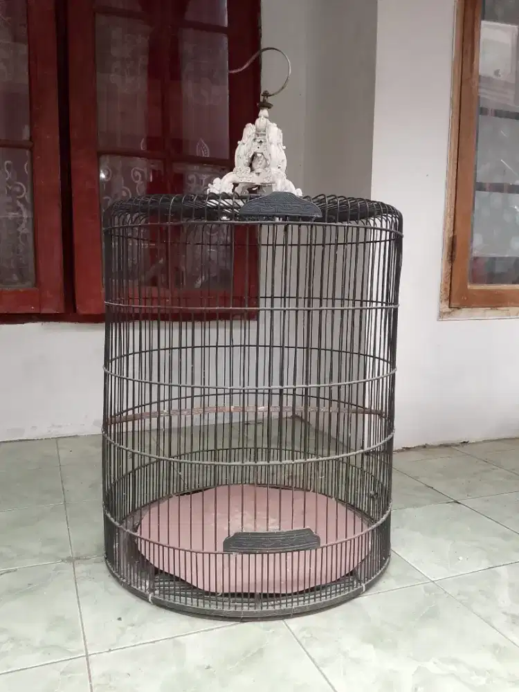 Sangkar muray masih layak pakai