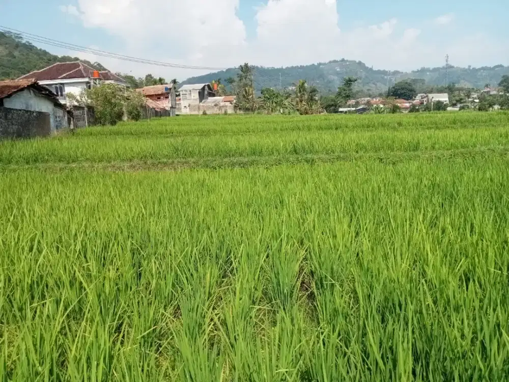 Tanah Cibodas Puncak Dijual