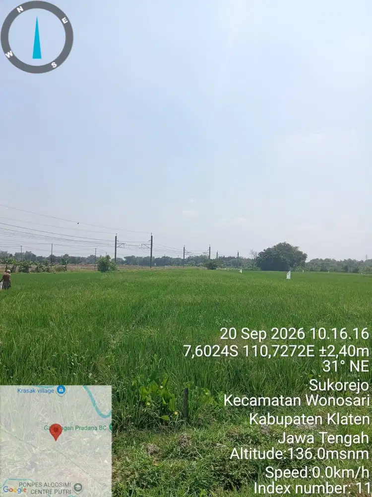 Dijual Sawah SHM, lahan pertanian padi