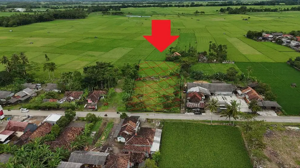 Jual Tanah Strategis di Sobang, Banten