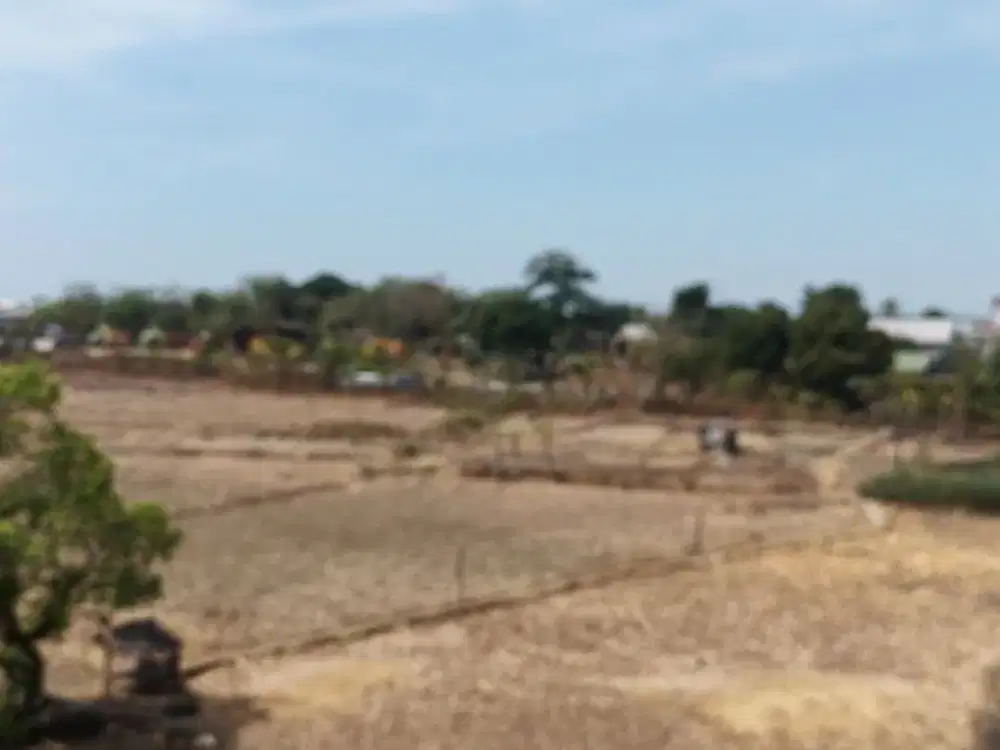 DIJUAL MURAH TANAH DI DAERAH PERGUDANGAN