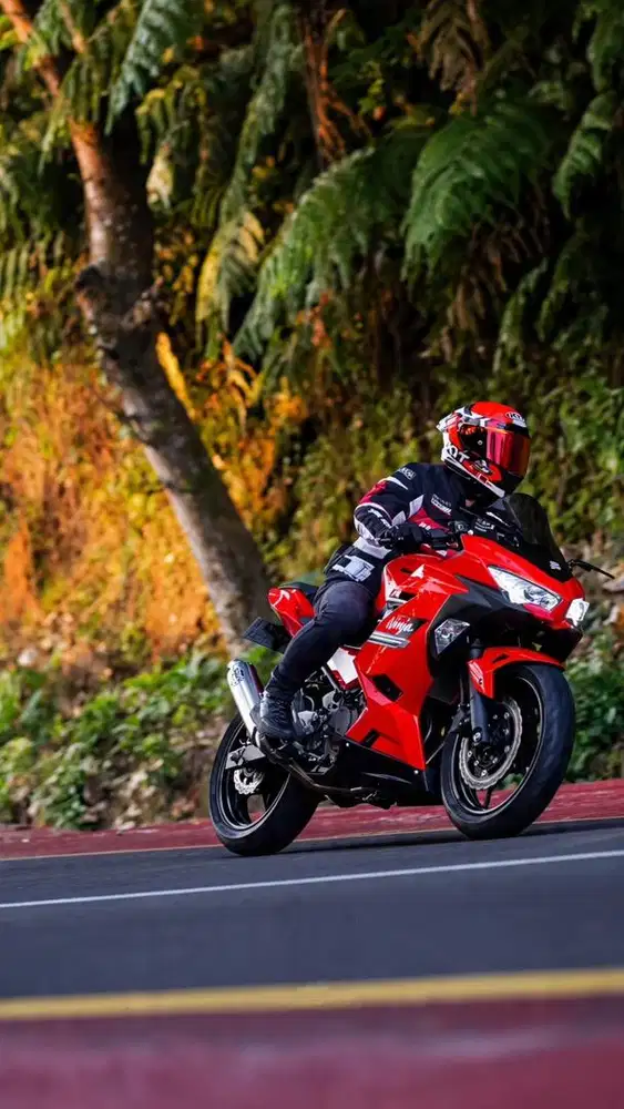 Kawasaki Ninja 250