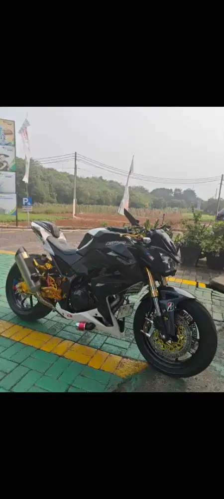 Kawasaki Ninja 250z