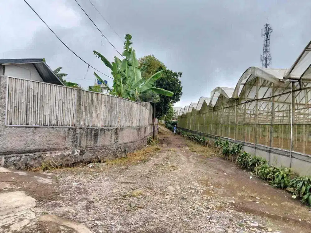 Dijual Tanah Kavling di Gunung Mas Bogor