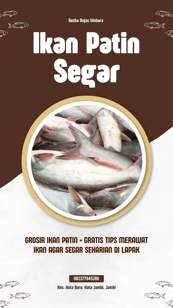 IKAN PATIN SEGAR + GRATIS TIPS MERAWAT DI LAPAK SEHARIAN