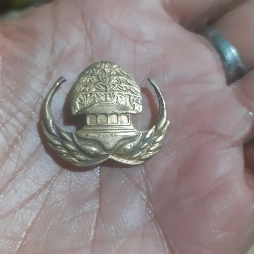 Pin peniti Korpri lama untuk koleksi