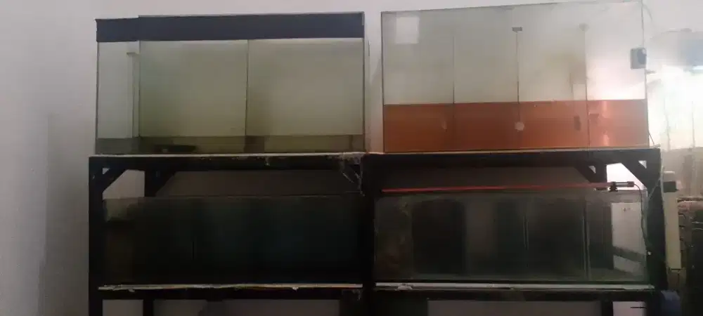 Aquarium dan rak besi