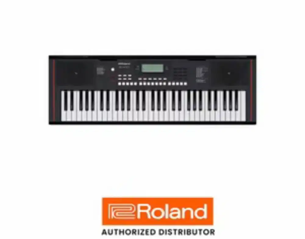 BNIB Rolland E-X10 61-key Arranger