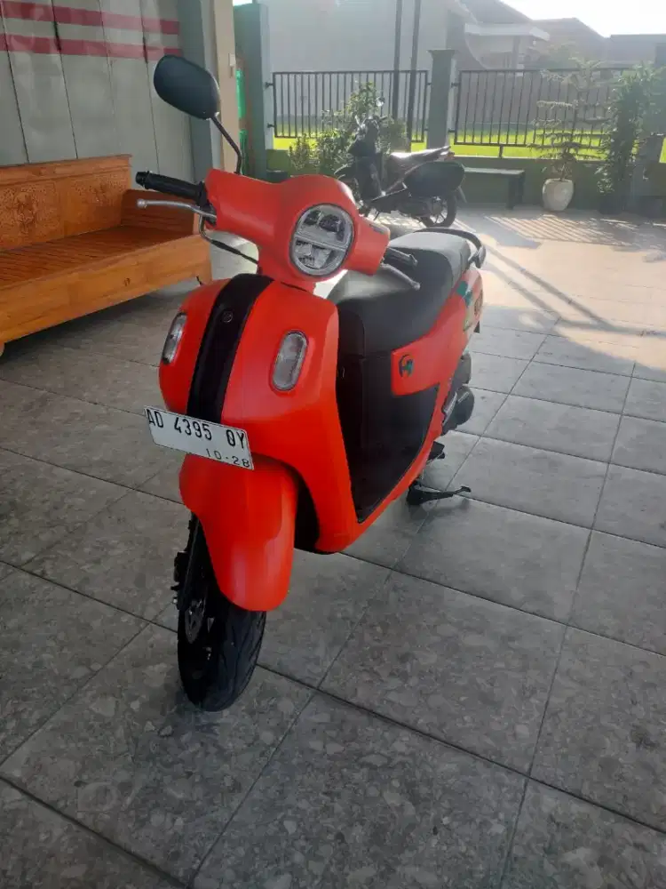 Fazzio 2023 Low KM