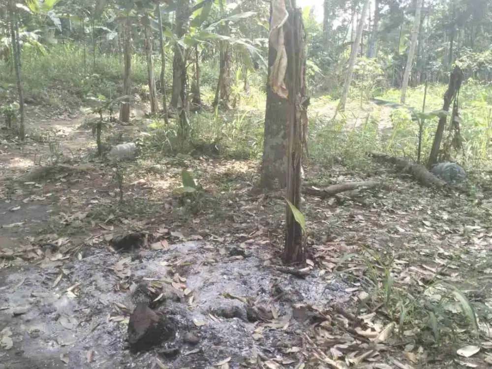DIJUAL TANAH ASRI 850M KARANGNONGKO, KLATEN