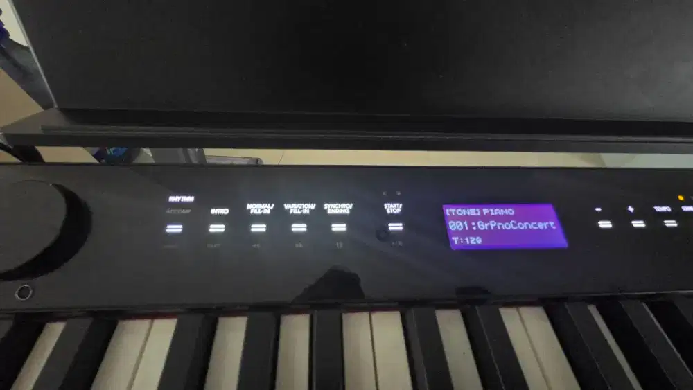 Casio Privia PX S3000