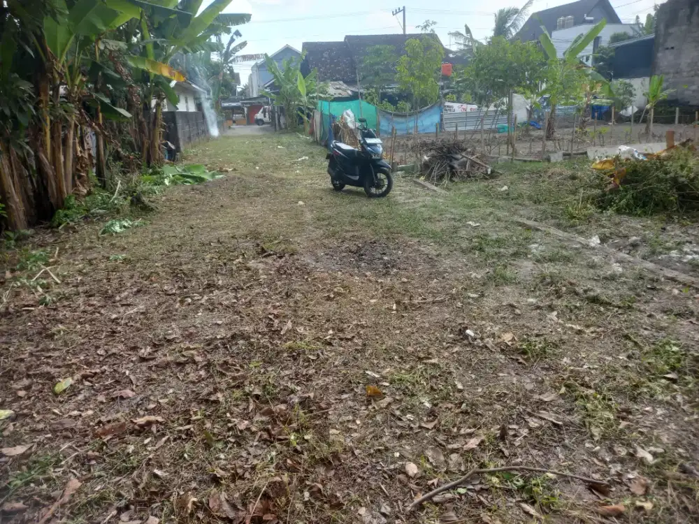 Pekarangan bagus barat Hyatt