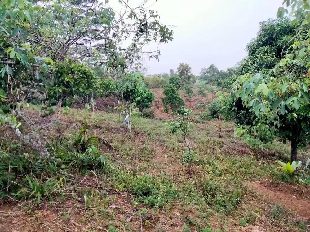 Dijual Tanah di Sungai Ulin Banjarbaru