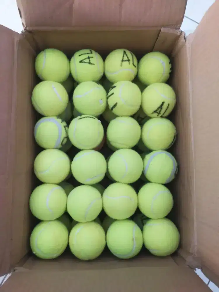 Bola padel tennis kasti polos utk latihan sendiri