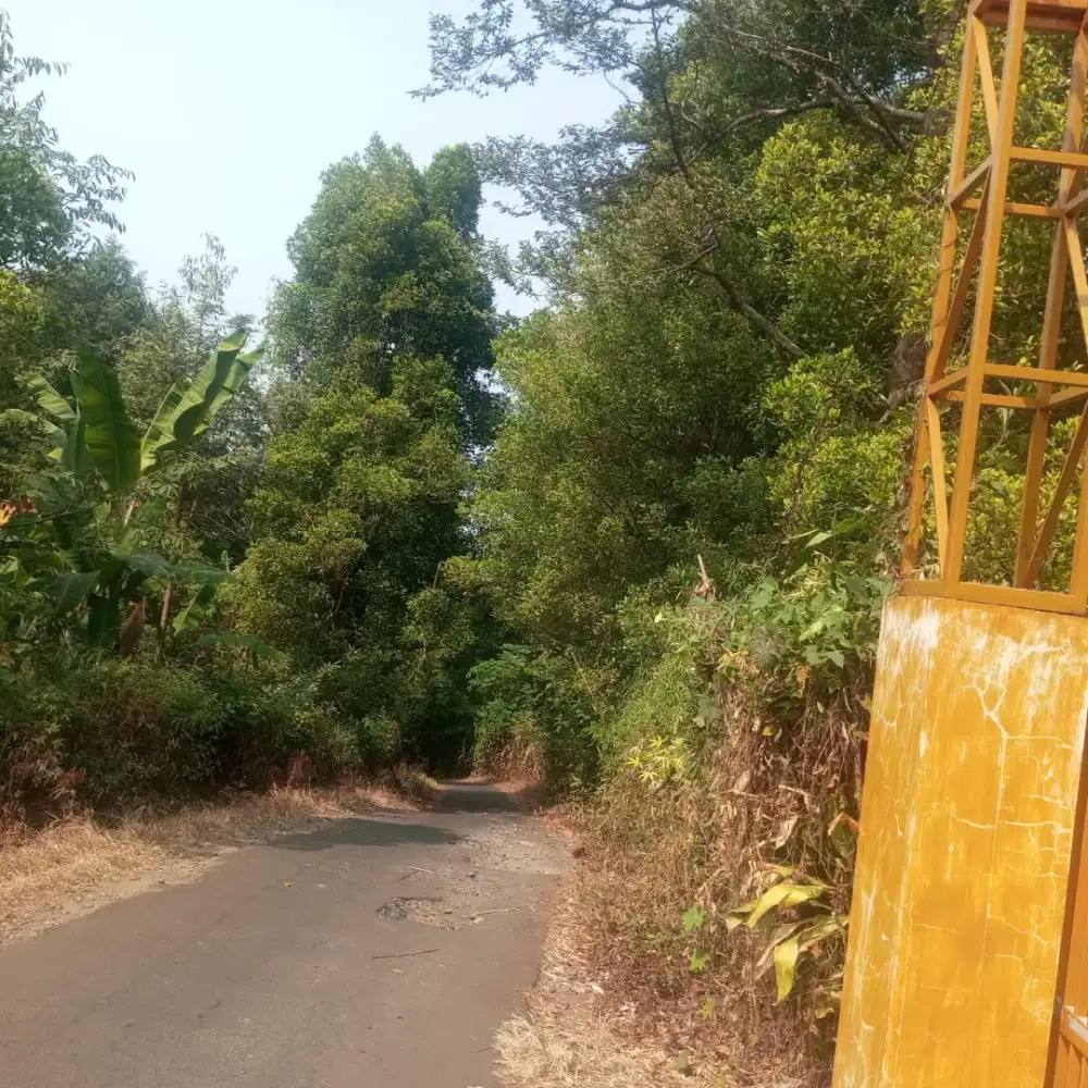 Dijual lahan Durian Cengkeh
