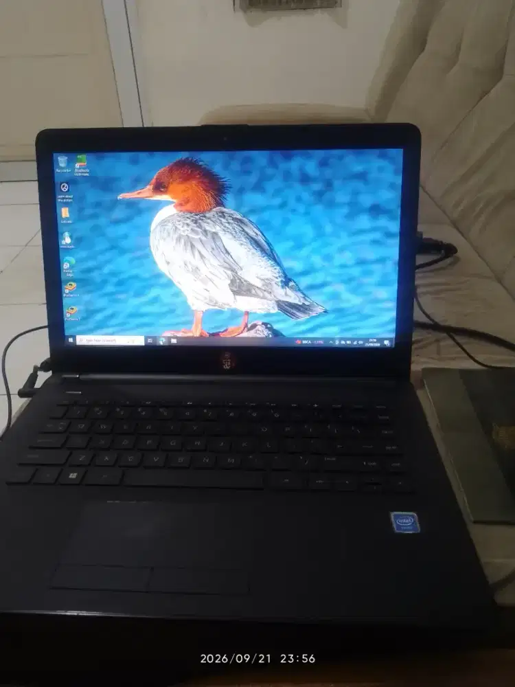 Laptop asus murah