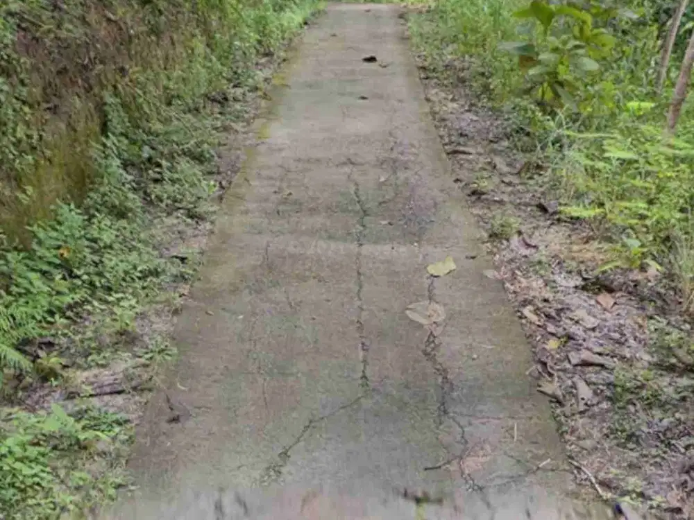 Tanah Dijual 1 Hektar dekat pasar Clereng , Pengasih, Kulon Progo