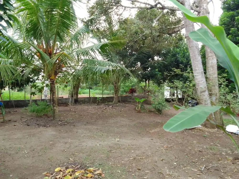 BU Dijual Cepat Tanah seluas 4315 M2