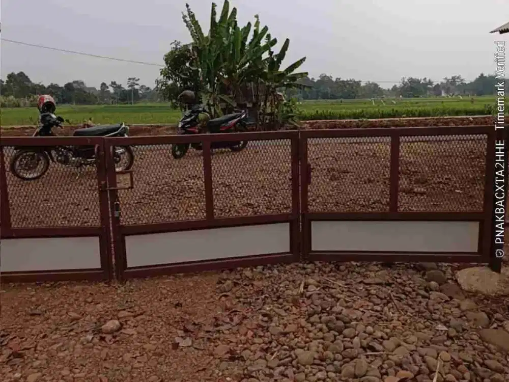 tanah ploting kuning cocok untuk perumahan kapling