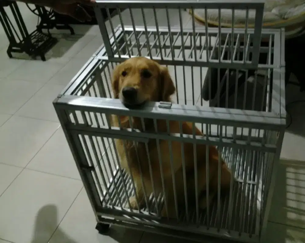 Kandang Anjing Lipat Aluminium 100cm