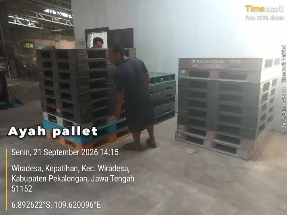 Palet plastik semarang AYah palet jatingaleh