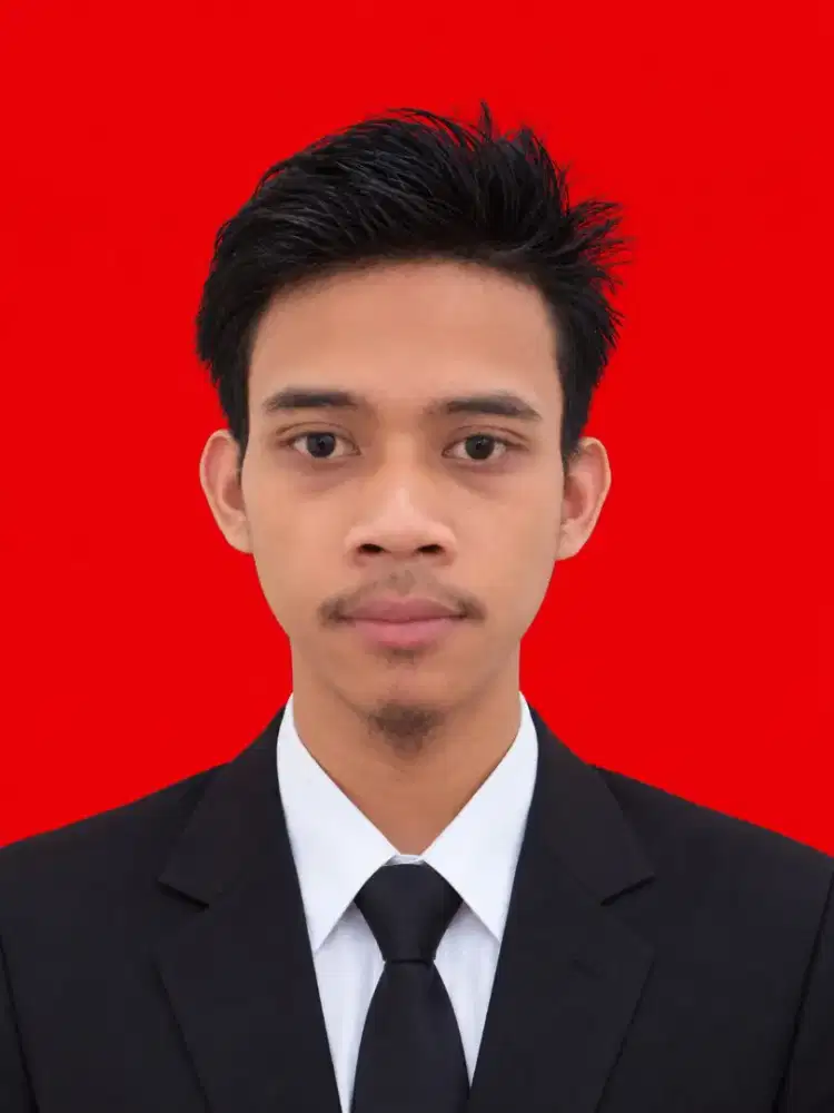 Web Developer/Programmer & SEO