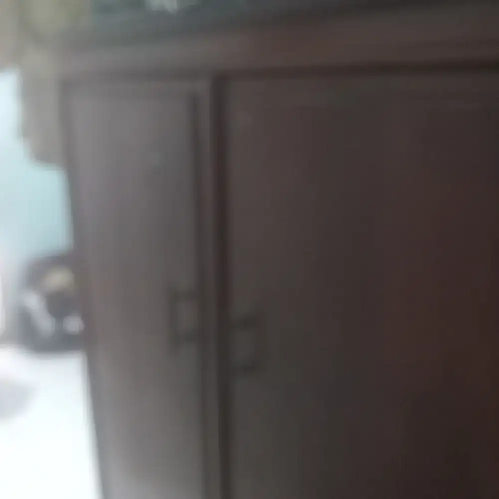 lemari jati pintu 2