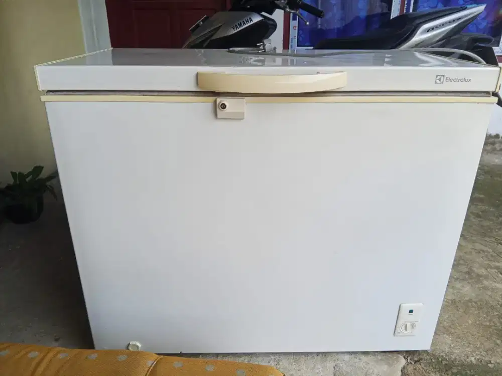 Frezeer merk elektrolux