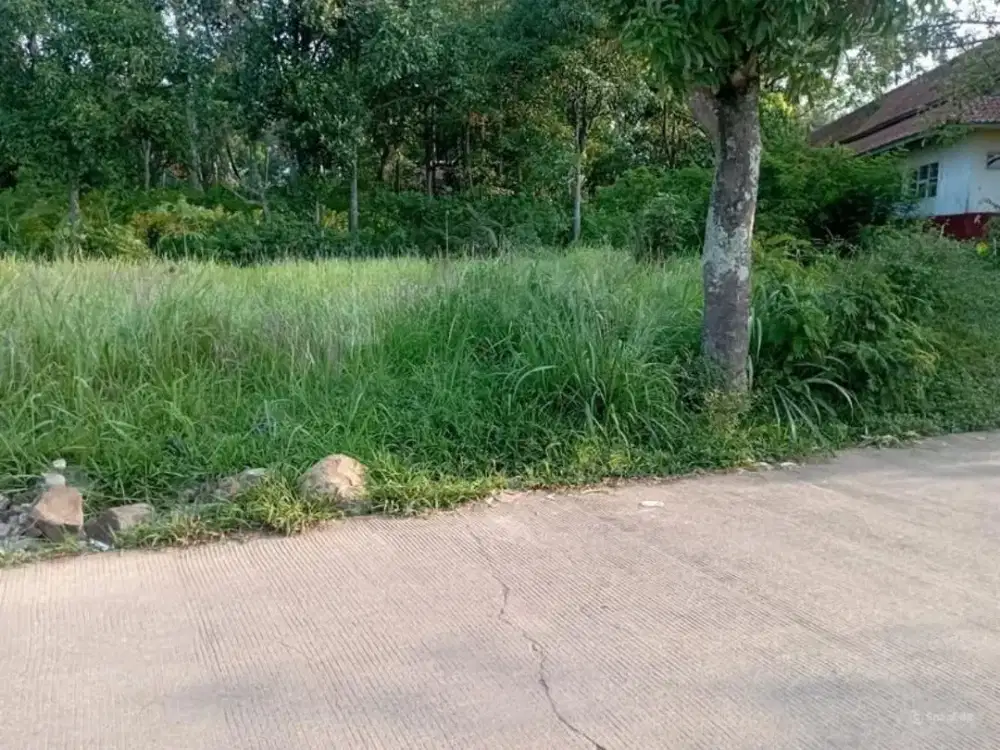 HARGA TANAH CIPARAY TURUN! Dari 1,2 Juta Jadi Cuma 850 Ribu/m²
