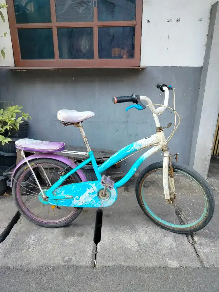 Sepeda Anak merk Family R20