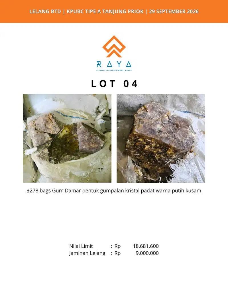 GUM DAMAR BERBENTUK GUMPALAN KRISTAL WARNA PUTIH KUSAM