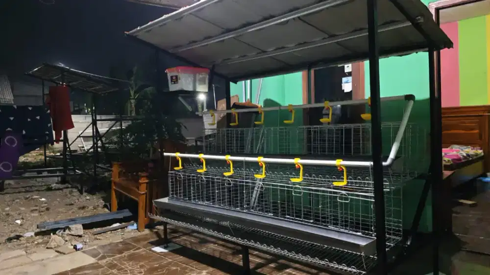 kandang ayam galvanis kapsitas 24 ekor sudah ada tempat makan minum