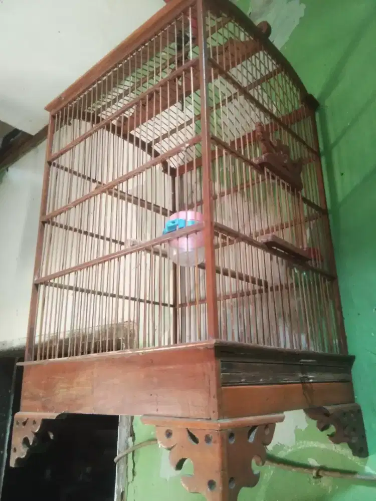 Kandang Burung Jati No2