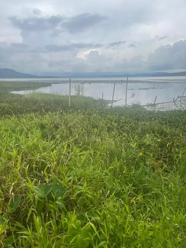 Tanah Pinggir Danau batas Saluran air Gereja Gmim lembah pinus