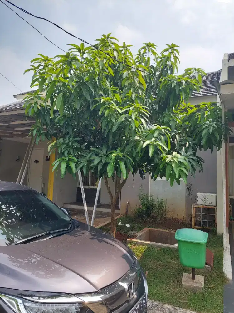 Disewakan Rumah nyaman di dalam cluster Serpong Garden 2, Cisauk
