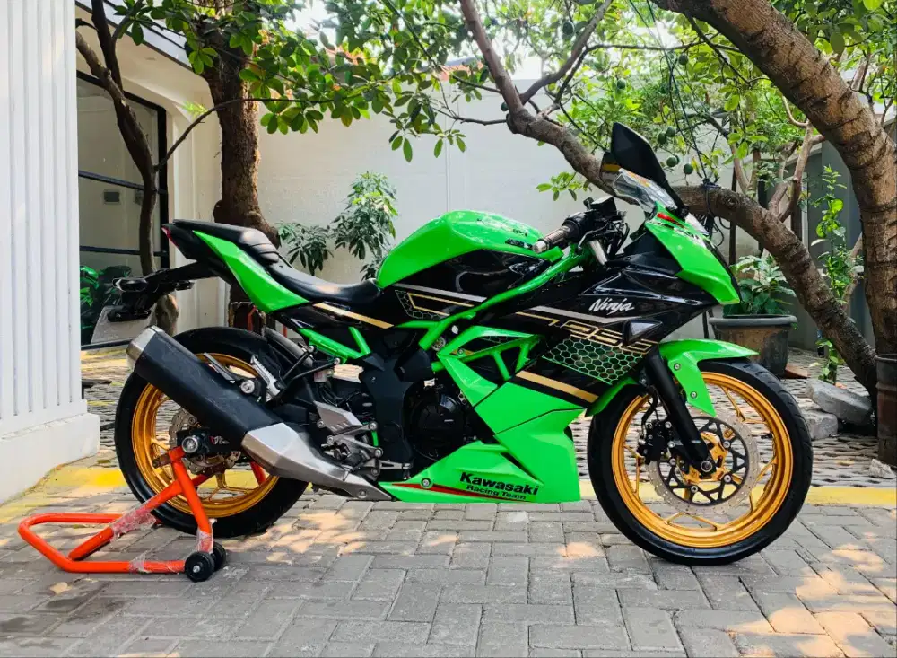 Kawasaki Ninja 250 sl mono